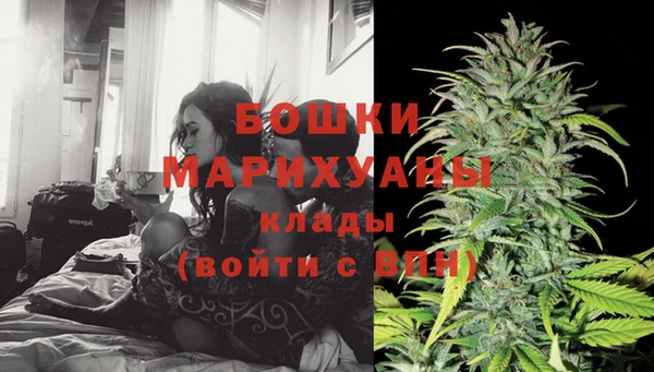 дурь Сатка