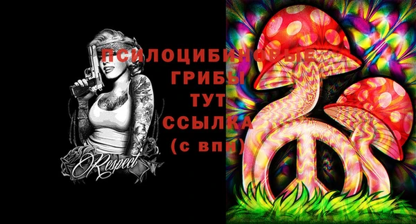 шишки Абинск