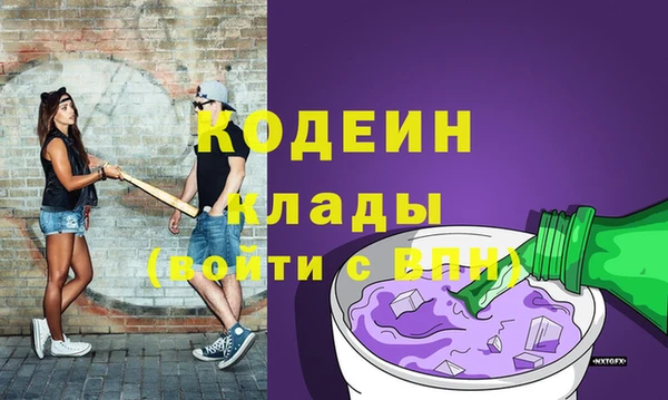 дурь Сатка