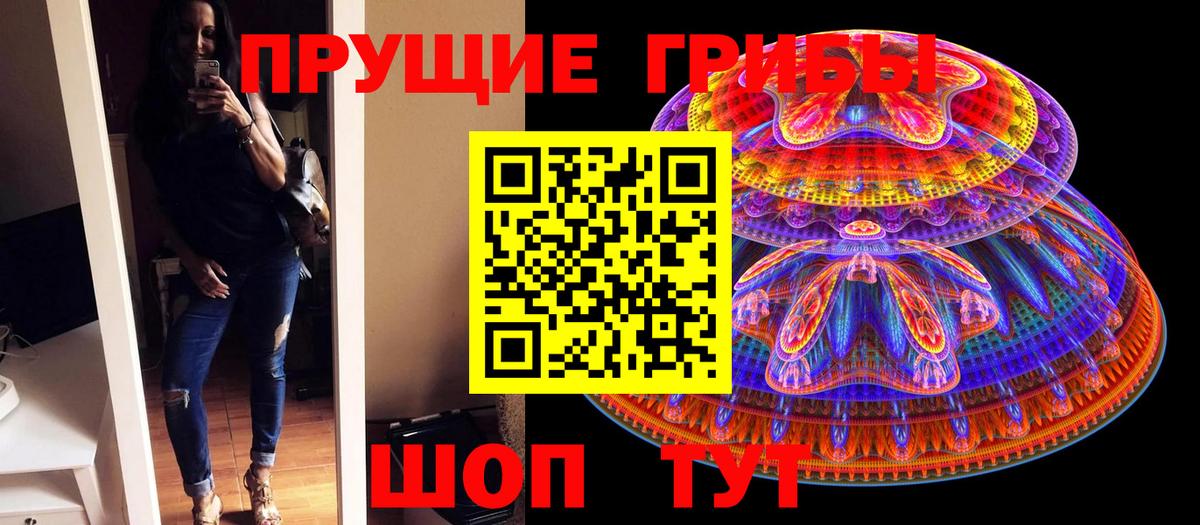 Сертолово  Псилоцибиновые грибы Magic Shrooms  Вход с VPN 